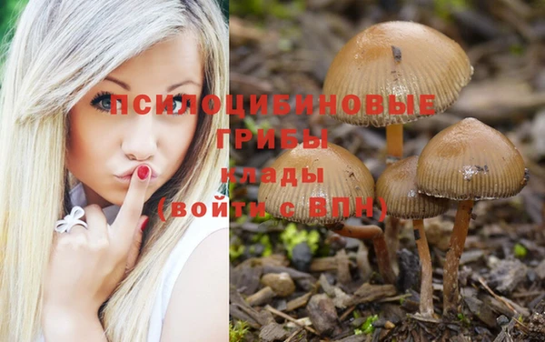 прущие крисы Балабаново