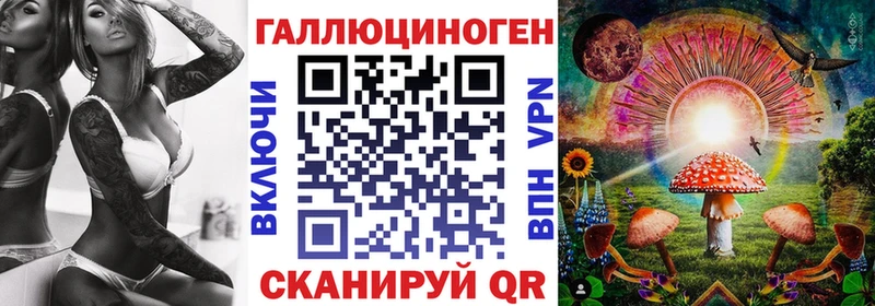 купить наркоту  Усть-Илимск  OMG tor  Псилоцибиновые грибы Cubensis 